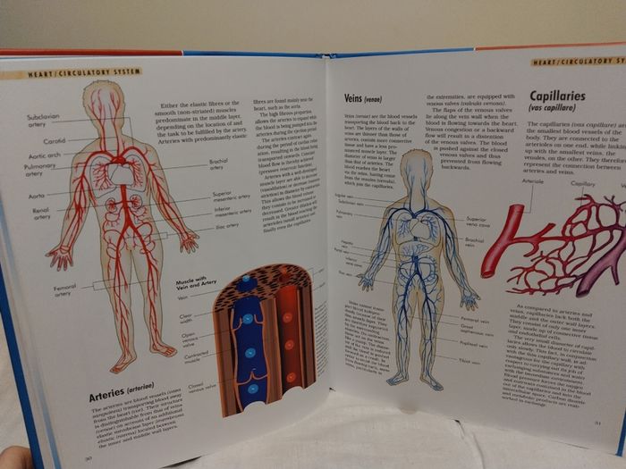 The Body Compact Knowledge Hardback Books