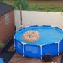 Intex Swimming Pool Image 2