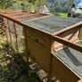 chicken run Image 4