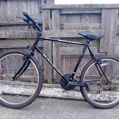 Raleigh boulder bike