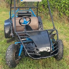 150cc quadzilla dunne buggy
