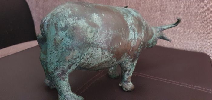 Cooper  cow (bull)
