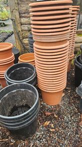 Large Plant Pots