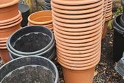 Large Plant Pots