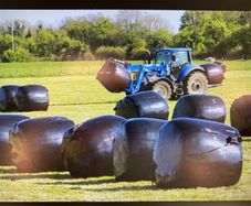 Silage / Haylage