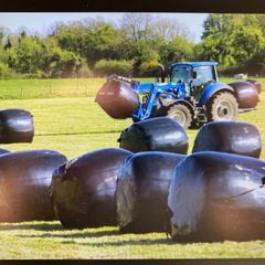 Silage / Haylage