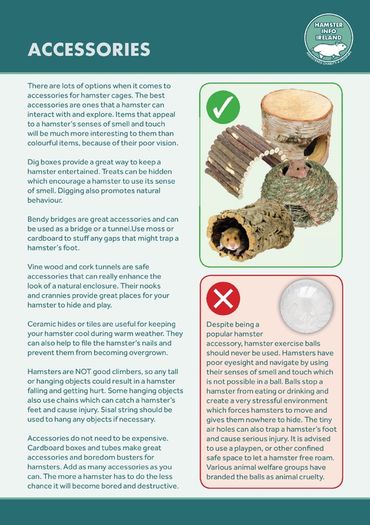 Hamster Care Guide