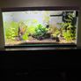Aquarium full set Image 6