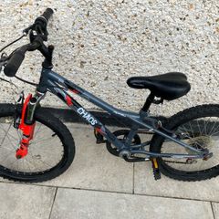 20 Inch Mountain Bike
