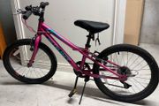 Summit 20" Mountain Bike