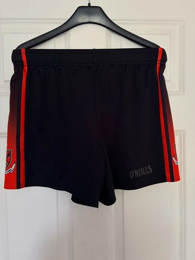 BSJ GAA shorts like new 32in