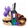 French Avenue Spirito Ignite Image 6