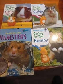 Books x4
