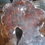 Antique Gilt Plaster Knights Head Image 4