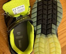 Kids Geox Shoes