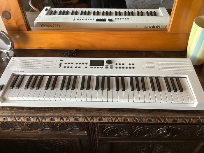 Roland GO:KEYS 5 mint