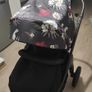 Buggy Image 8