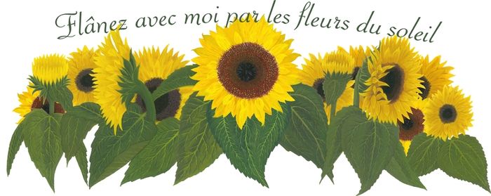 Sunflower field with French quote Wall Decal/Sticker/Art Transfer