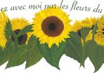 Sunflower field with French quote Wall Decal/Sticker/Art Transfer