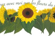 Sunflower field with French quote Wall Decal/Sticker/Art Transfer