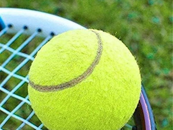 12 Practice Tennis Balls, Pressure less Training Exercise Tennis Balls with Easy Transport bag, Soft Rubber Tennis Balls Perfect for Beginners Training Lessons Pet Dog Playing Balls