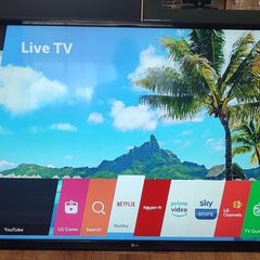 Lg 49" Led Hdr 4k Ultra Hd Smart Tv, WebOS, Wifi, Lan, Usb