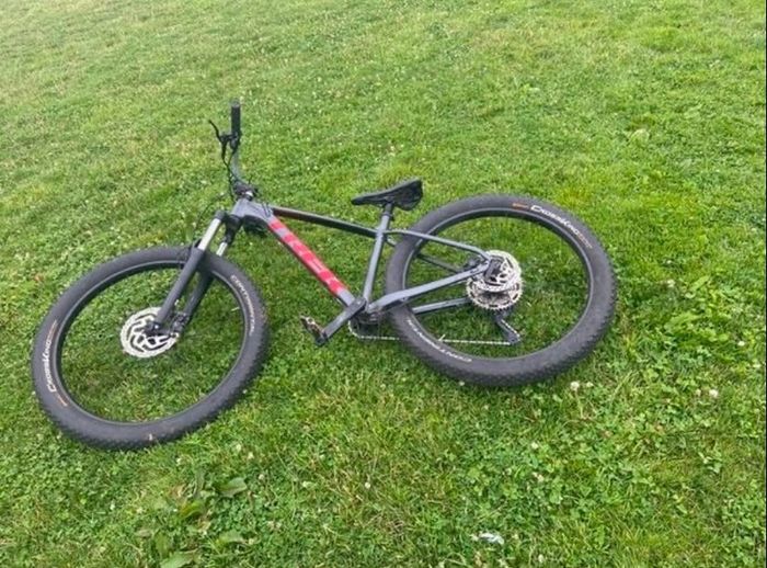 TREK roscoe 6 mountain bike