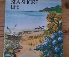 Vintage "Irish Sea-Shore Life" Book (Folens) - Retro 70s/80s