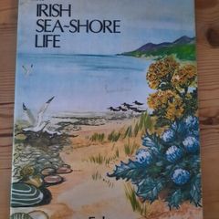 Vintage "Irish Sea-Shore Life" Book (Folens) - Retro 70s/80s