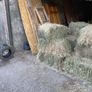 Hay Image 3