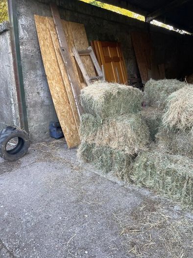 Hay