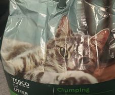 Free cat litter