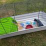 Rabbit/ Guinea pig cage Image 2