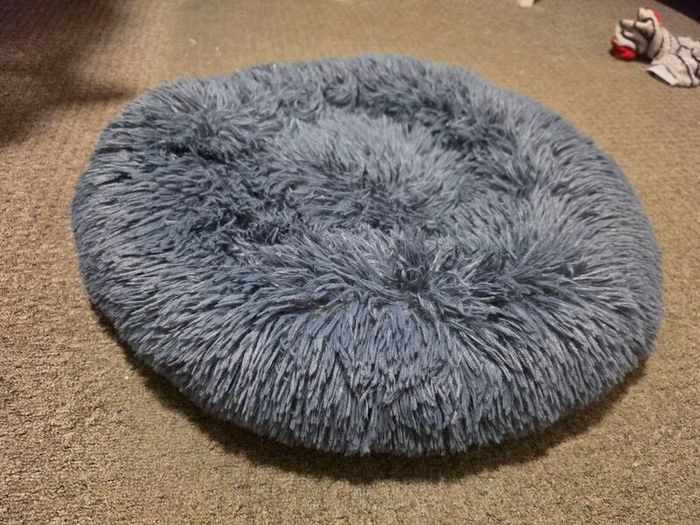 Small Dog / Cat Bed