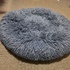 Small Dog / Cat Bed