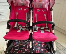 twin buggy