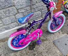 2 kids bicycles