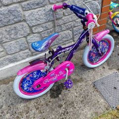 2 kids bicycles