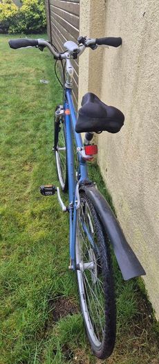 Giant (brand) Cypress bike