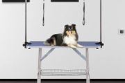 Metal Adjustable Dog Grooming Table Rubber Top 2 Safety Slings Mesh Blue
