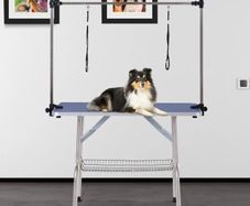 Metal Adjustable Dog Grooming Table Rubber Top 2 Safety Slings Mesh Blue