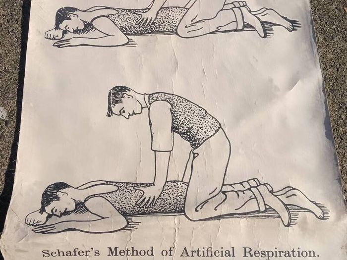 1940's Browne & Nolan Dublin Ltd Medical Poster(40x30")