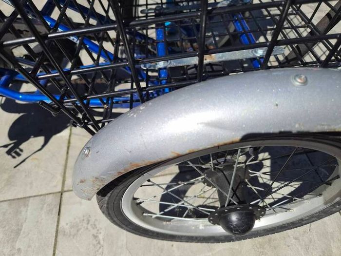 special needs trike.