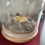 Bitcoin Memorbilia Image 4
