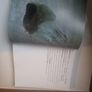 Antony Gormley by John Hutchinson, Lela B. Njatin, E. H. Gombrich and W. J. T. Mitchell Image 3