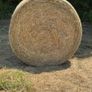 Organic Hay Bales For Sale in Cork Image 2