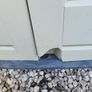 Keter 1200 Outdoor Storage Box Image 4