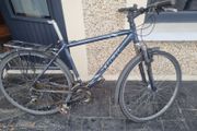 bike trek needs fixing