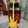 Swan Alpha Fretless Image 2