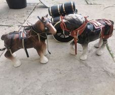 2 Shire Horses